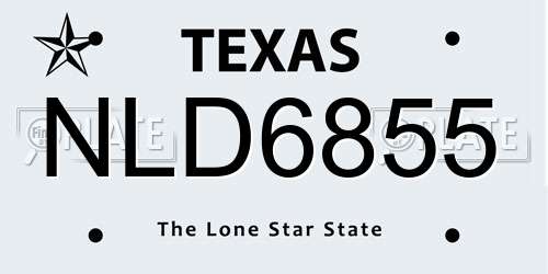 NLD6855 Texas License Plate