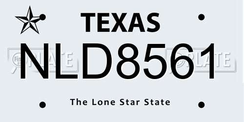 NLD8561 Texas License Plate