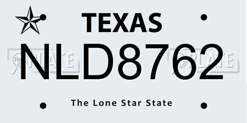 NLD8762 Texas License Plate