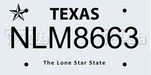 NLM8663 Texas License Plate