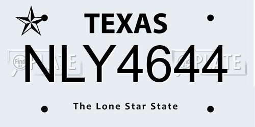 NLY4644 Texas License Plate
