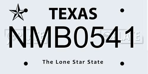 NMB0541 Texas License Plate