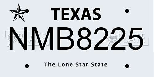 NMB8225 Texas License Plate