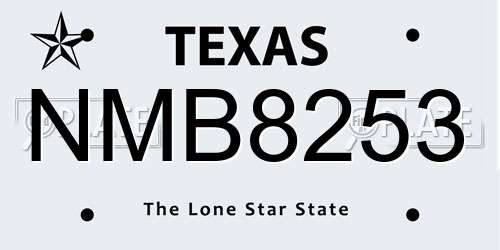 NMB8253 Texas License Plate