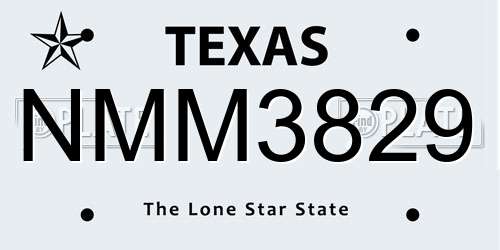 NMM3829 Texas License Plate