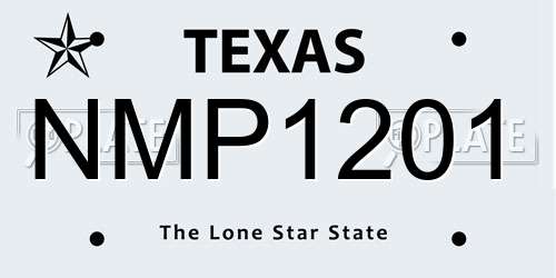 NMP1201 Texas License Plate