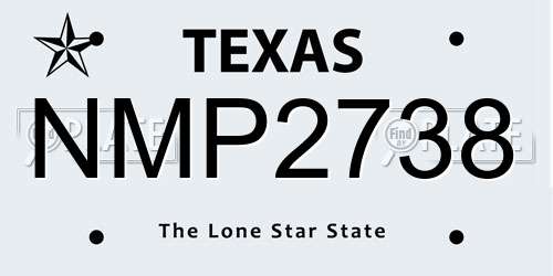 NMP2738 Texas License Plate