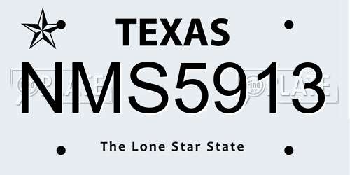 NMS5913 Texas License Plate
