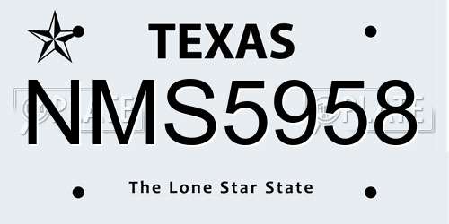 NMS5958 Texas License Plate