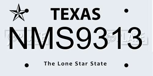 NMS9313 Texas License Plate