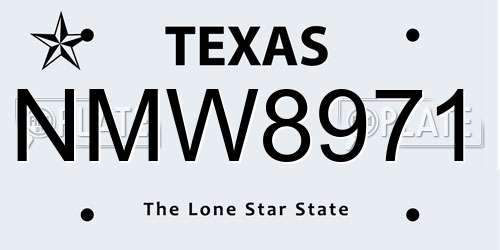 NMW8971 Texas License Plate