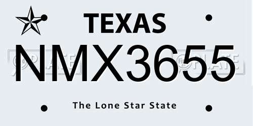 NMX3655 Texas License Plate