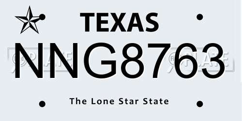 NNG8763 Texas License Plate