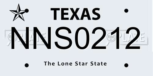 NNS0212 Texas License Plate