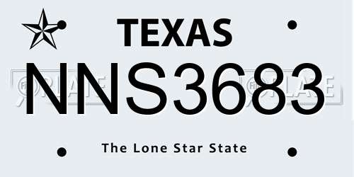 NNS3683 Texas License Plate