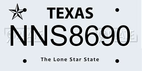 NNS8690 Texas License Plate