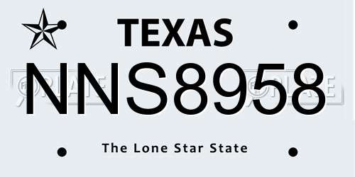 NNS8958 Texas License Plate