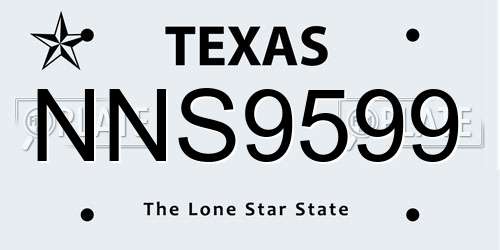 NNS9599 Texas License Plate