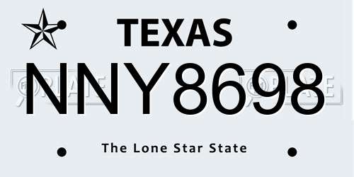 NNY8698 Texas License Plate
