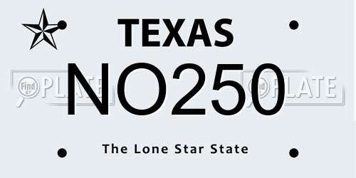NO250 Texas License Plate
