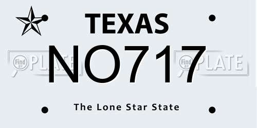 NO717 Texas License Plate