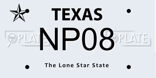 NP08 Texas License Plate