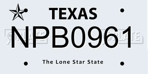 NPB0961 Texas License Plate