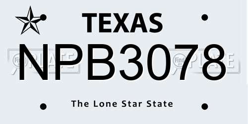 NPB3078 Texas License Plate