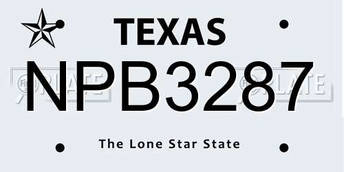 NPB3287 Texas License Plate