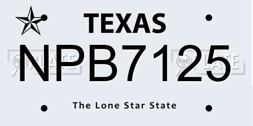 NPB7125 Texas License Plate