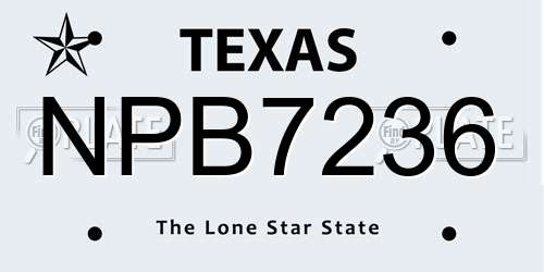 NPB7236 Texas License Plate