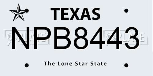NPB8443 Texas License Plate
