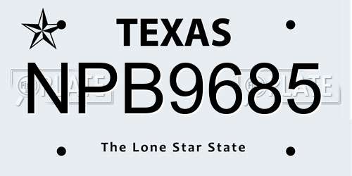 NPB9685 Texas License Plate