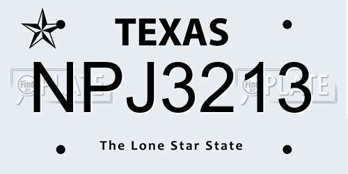NPJ3213 Texas License Plate