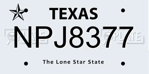 NPJ8377 Texas License Plate
