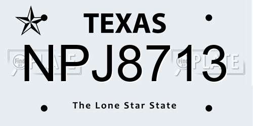 NPJ8713 Texas License Plate