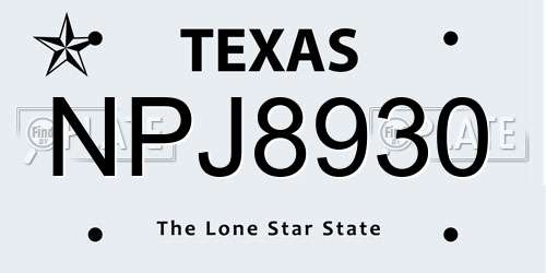NPJ8930 Texas License Plate