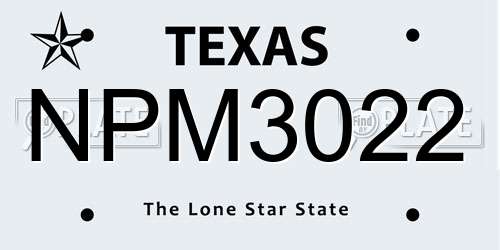 NPM3022 Texas License Plate
