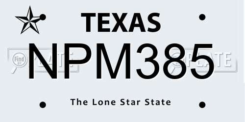 NPM385 Texas License Plate