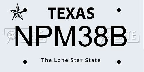NPM38B Texas License Plate