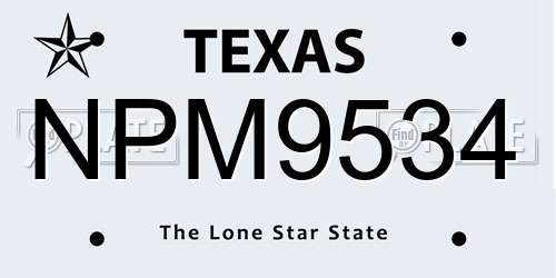 NPM9534 Texas License Plate