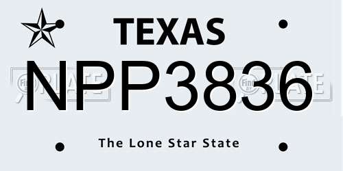 NPP3836 Texas License Plate