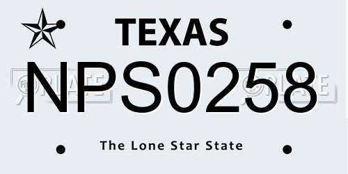 NPS0258 Texas License Plate