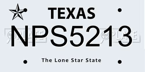 NPS5213 Texas License Plate