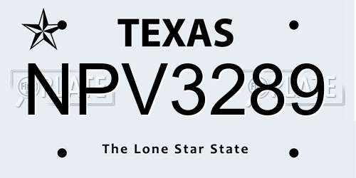NPV3289 Texas License Plate