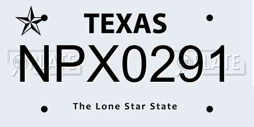 NPX0291 Texas License Plate