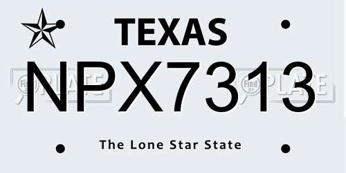 NPX7313 Texas License Plate