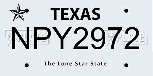 NPY2972 Texas License Plate
