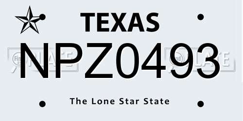 NPZ0493 Texas License Plate