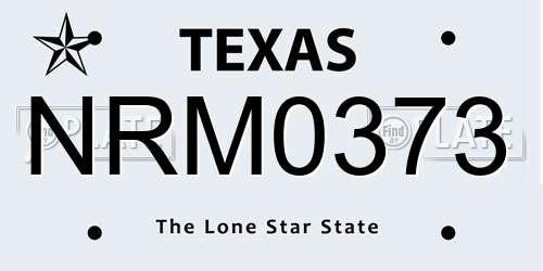 NRM0373 Texas License Plate